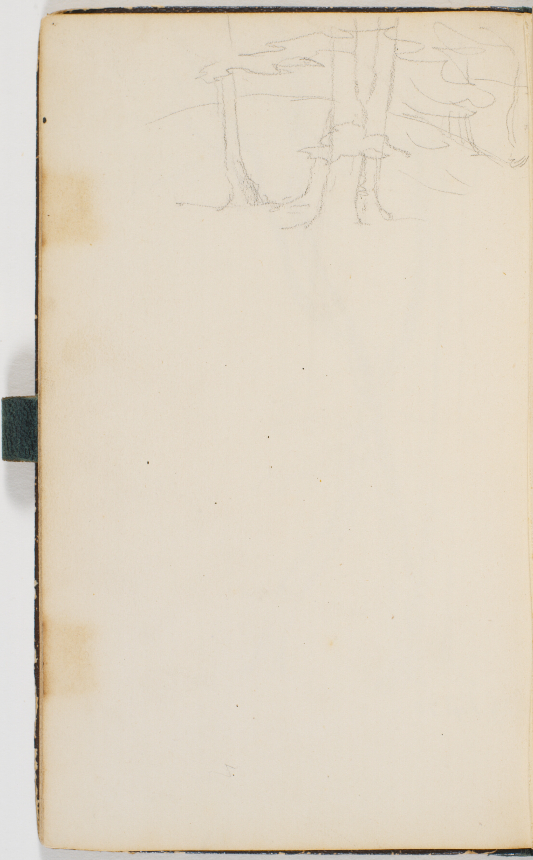 Træer omkring en gravhøj